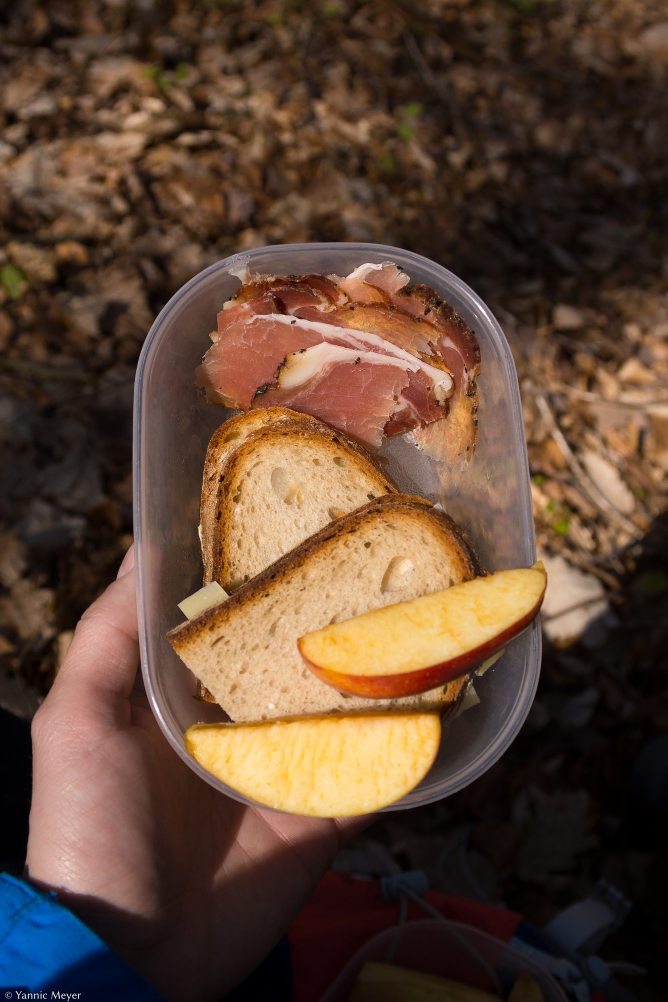 Pause mit Tiroler Speck, Apfel und zwei Broten. 